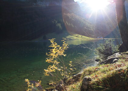 Gegenlicht am Wasser