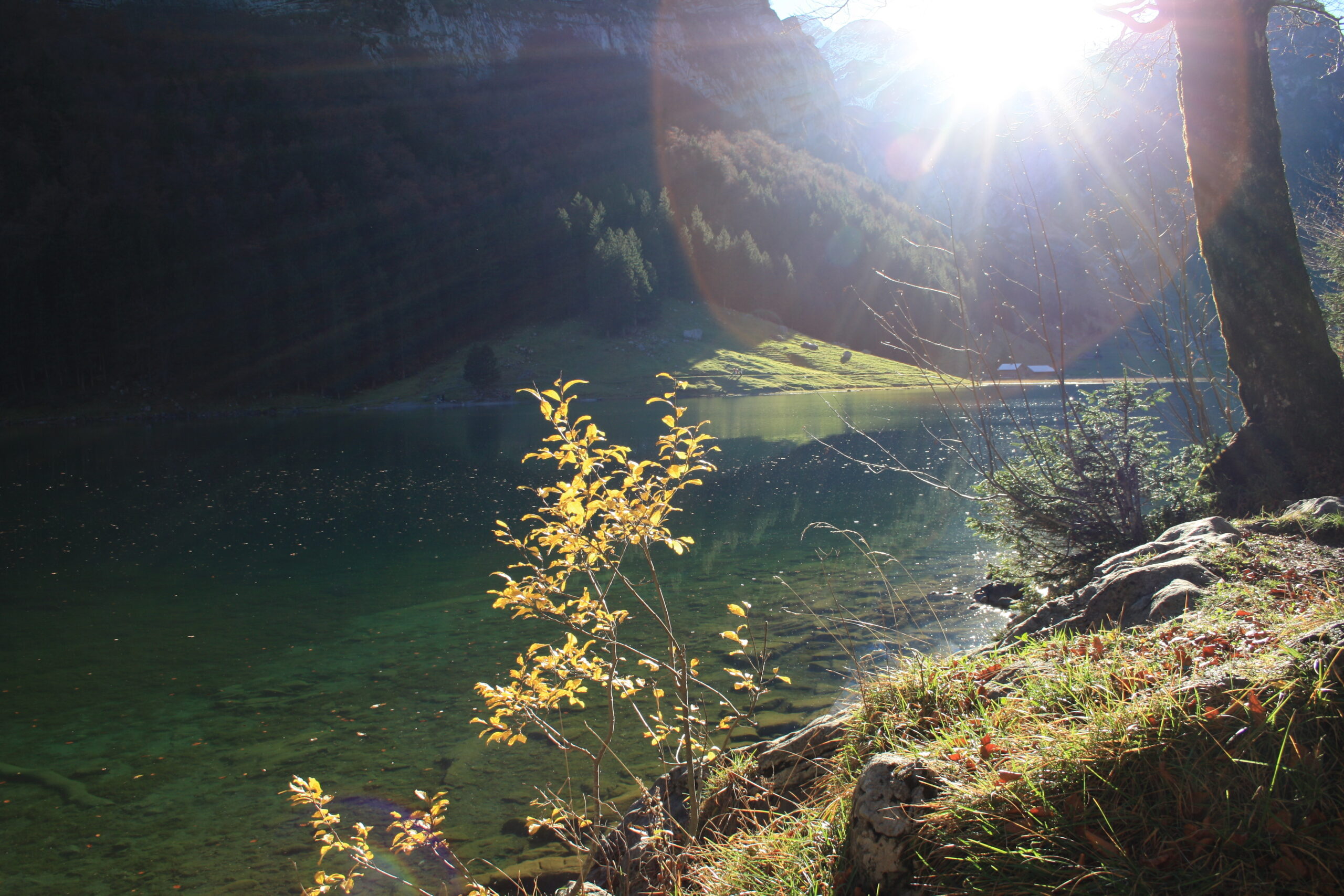 Gegenlicht am Wasser