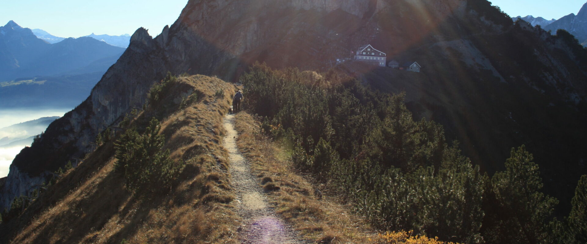 Gedankenfang