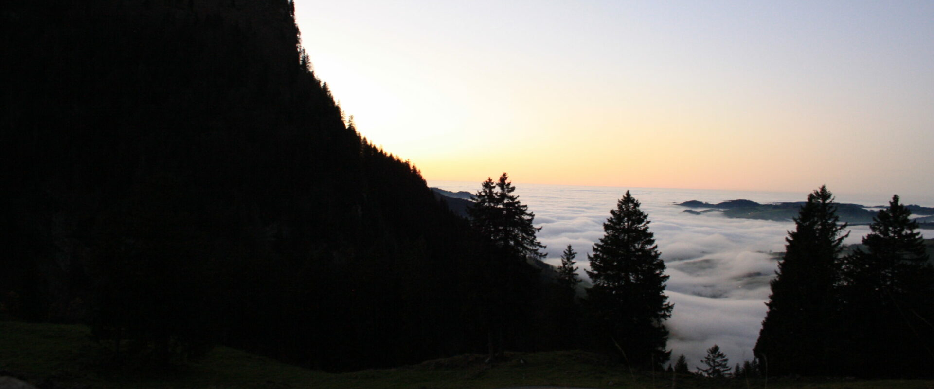 Gedankenfang