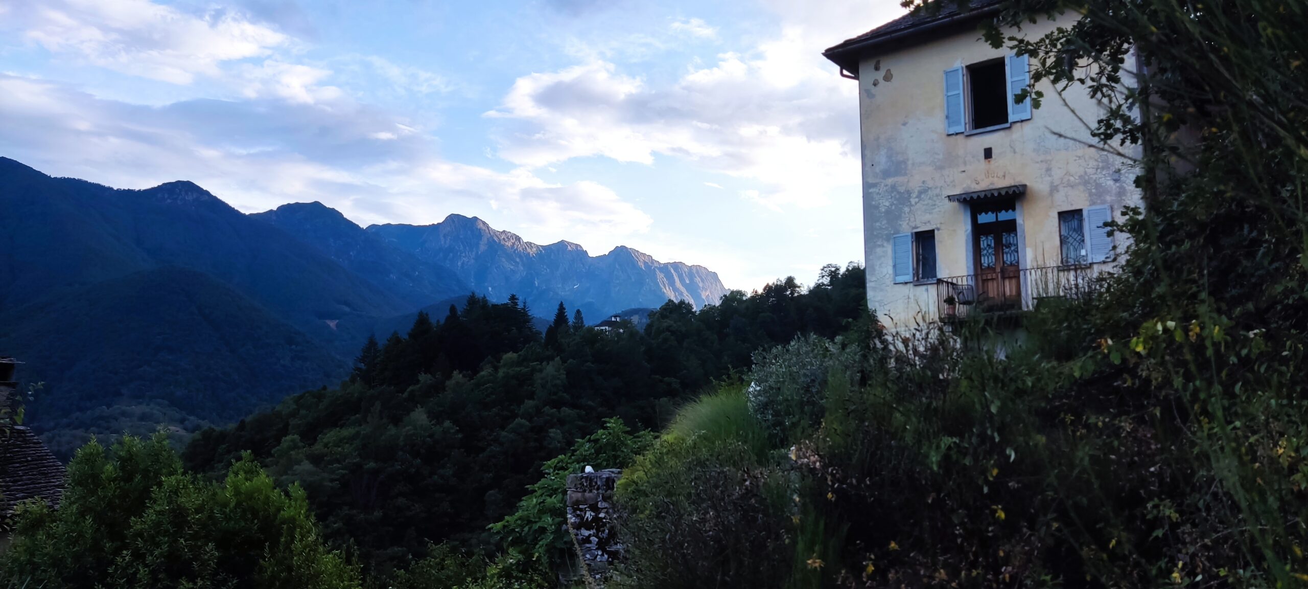 Ergreifende Fülle
